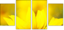 70553705
