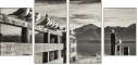 72072664