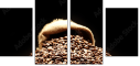75743507