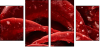 75798905