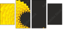 76117324