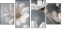 877089715
