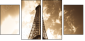 9077030
