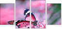95266681