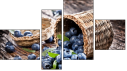 Fortyk - Obraz czteroczęściowy