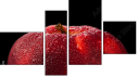 Fortyk - Obraz czteroczęściowy