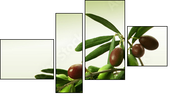 Zielona gałązka oliwna
 - Obraz czteroczęściowy, Fortyk