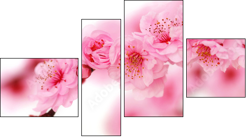 Kwiaty wiśni – Japonia mniej dosłownie
 - Obraz czteroczęściowy, Fortyk