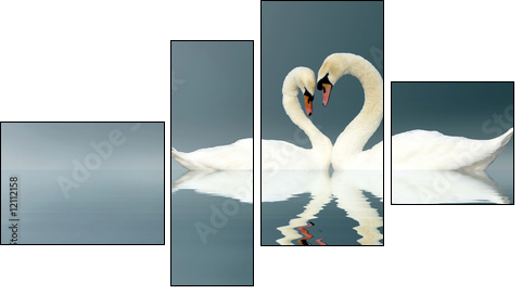 Love Swans  - Obraz czteroczęściowy, Fortyk