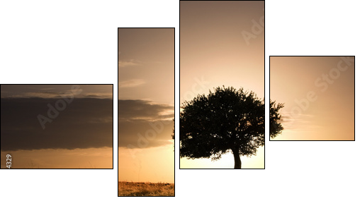 Samotne drzewo i zachód słońca
 - Obraz czteroczęściowy, Fortyk