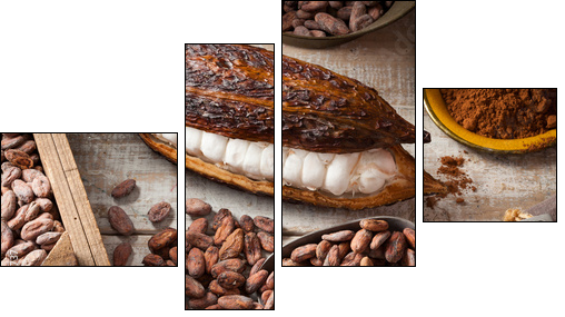 Cocoa beans and pod - Obraz czteroczęściowy, Fortyk