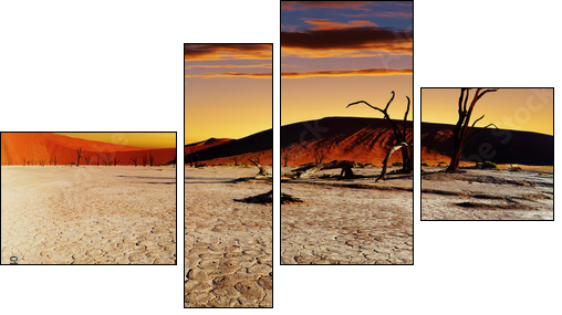 Afrykańska susza – gorąca refleksja
 - Obraz czteroczęściowy, Fortyk