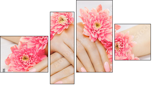 pink manicure with chrysanthemum flowers. spa - Obraz czteroczęściowy, Fortyk