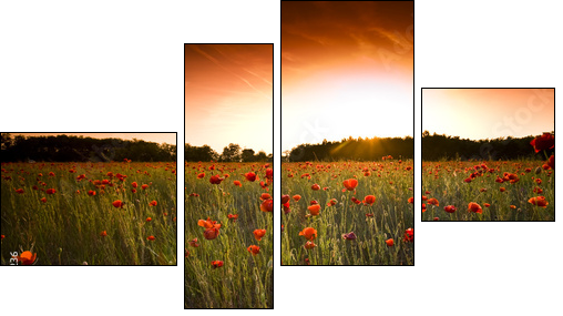 Makowe pole – łąka o zachodzie słońca
 - Obraz czteroczęściowy, Fortyk