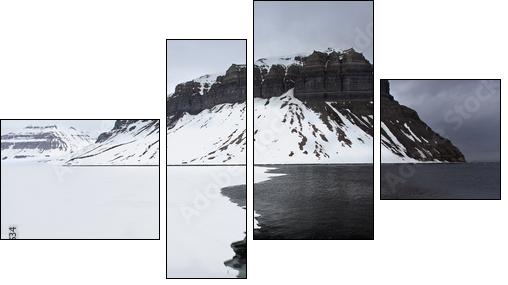 Spitzbergen  - Obraz czteroczęściowy, Fortyk
