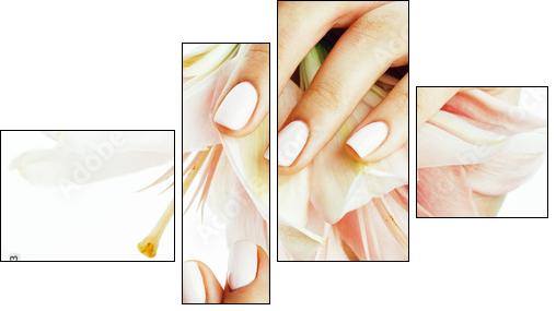 beauty delicate hands with manicure holding flower lily close up isolated on white - Obraz czteroczęściowy, Fortyk