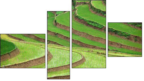 Ogrody świata – zielone tarasy
 - Obraz czteroczęściowy, Fortyk