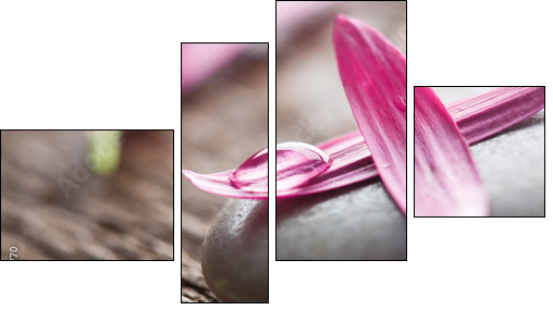 Płatki kwiatów – różowa elegancja
 - Obraz czteroczęściowy, Fortyk