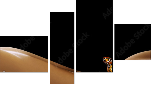 BeautÃ© Corps Body Femme  - Obraz czteroczęściowy, Fortyk