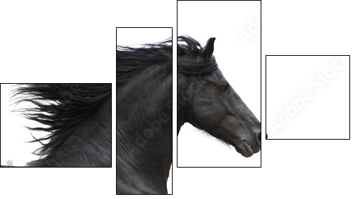 Koń w galopie – inspirująca pogoń za sukcesem
 - Obraz czteroczęściowy, Fortyk