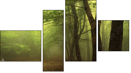 Leśna mgła – poranek w zielonym gaju
 - Obraz czteroczęściowy, Fortyk