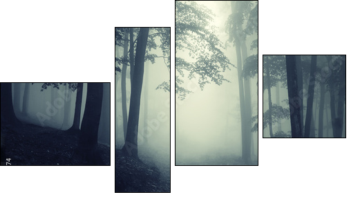 Las za mgłą – tajemnice przyrody
 - Obraz czteroczęściowy, Fortyk