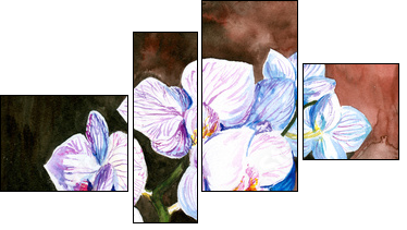 Orchidea malowana akwarelą - Obraz czteroczęściowy, Fortyk