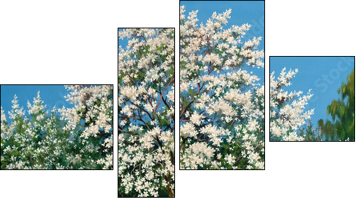 Blossoming spring garden  - Obraz czteroczęściowy, Fortyk