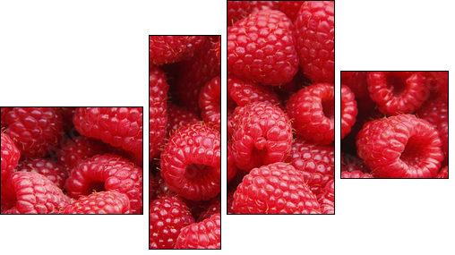 Owoce malin - niepowtarzalny smak lata - Obraz czteroczęściowy, Fortyk