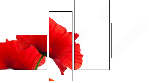 Maki – czerwone kwiaty w kontrastach
 - Obraz czteroczęściowy, Fortyk