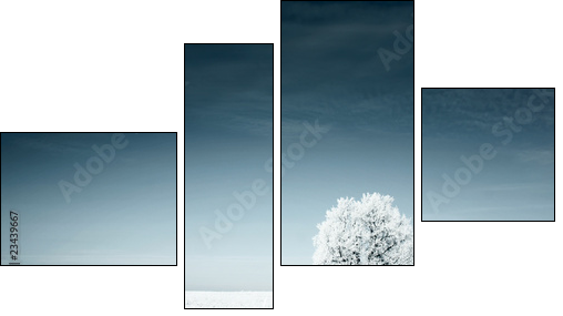 Na całej połaci biel – monumentalna zima
 - Obraz czteroczęściowy, Fortyk