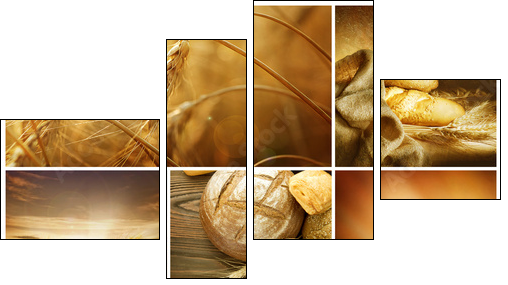 Ziarna zbóż – sielski collage
 - Obraz czteroczęściowy, Fortyk