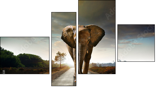 Walking Elephant  - Obraz czteroczęściowy, Fortyk