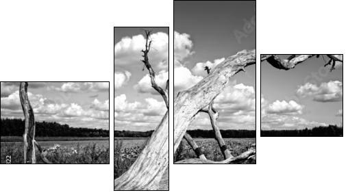 Powalone naturą drzewo
 - Obraz czteroczęściowy, Fortyk