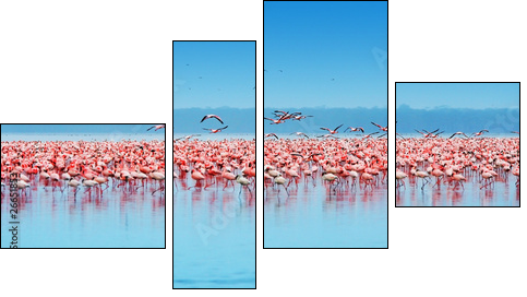 African flamingos  - Obraz czteroczęściowy, Fortyk