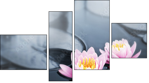 Orientalny lotos – klimat jak ze spa
 - Obraz czteroczęściowy, Fortyk