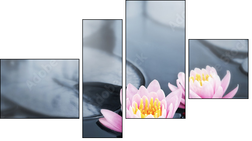 Kwiaty lotosu – orient podkreślony ekspresem
 - Obraz czteroczęściowy, Fortyk