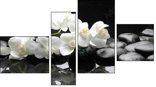 Close up white orchid with stone water drops  - Obraz czteroczęściowy, Fortyk