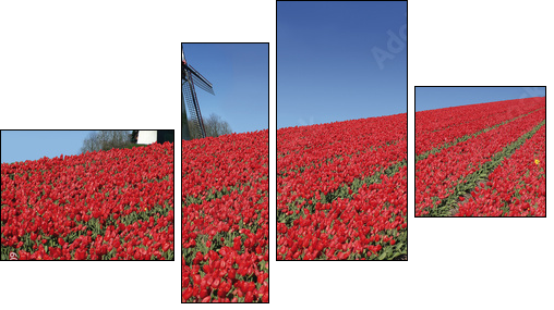 Esencja Holandii – wiatrak i tulipany
 - Obraz czteroczęściowy, Fortyk