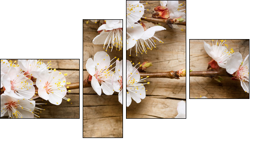 Kwiaty drzewa owocowego – zapach wiosny
 - Obraz czteroczęściowy, Fortyk