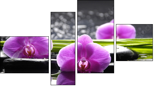 Spa still life with set of pink orchid and stones reflection  - Obraz czteroczęściowy, Fortyk