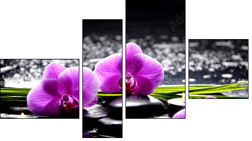 Spa still life with set of pink orchid and stones reflection  - Obraz czteroczęściowy, Fortyk