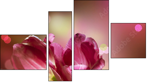Otwarte tulipany – kwiaty w domu
 - Obraz czteroczęściowy, Fortyk