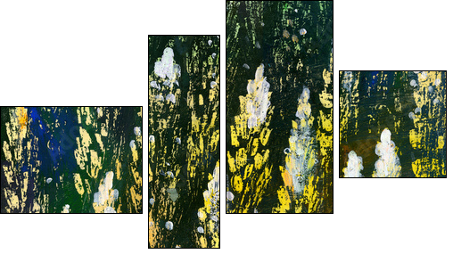 Wild flowers  - Obraz czteroczęściowy, Fortyk
