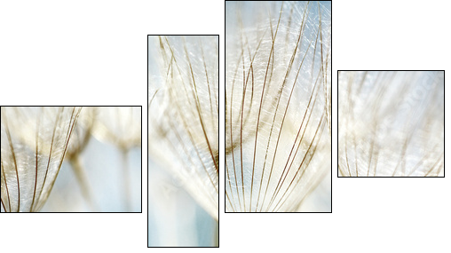 Abstract dandelion flower background  - Obraz czteroczęściowy, Fortyk