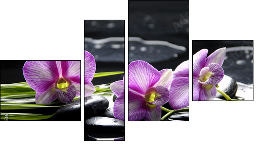 Pink orchid with bamboo leaf and stones with reflection  - Obraz czteroczęściowy, Fortyk