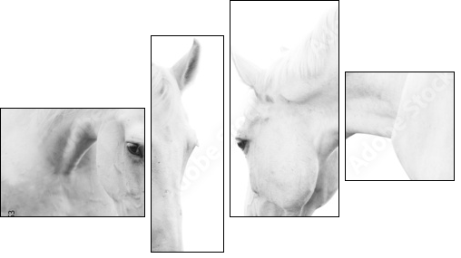 white horses  - Obraz czteroczęściowy, Fortyk