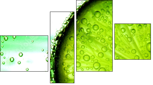 lime slice in water  - Obraz czteroczęściowy, Fortyk