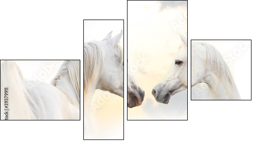 white horses  - Obraz czteroczęściowy, Fortyk
