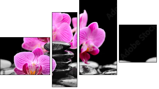 orchid  - Obraz czteroczęściowy, Fortyk